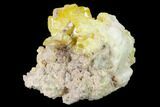 Yellow Wulfenite and Botryoidal Mimetite - La Morita Mine, Mexico #170310-1